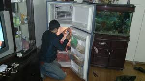 sửa chữa tủ lạnh sanyo